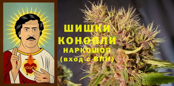 ПСИЛОЦИБИНОВЫЕ ГРИБЫ Алзамай