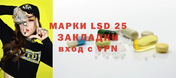 ПСИЛОЦИБИНОВЫЕ ГРИБЫ Алзамай