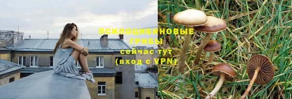 ПСИЛОЦИБИНОВЫЕ ГРИБЫ Алзамай