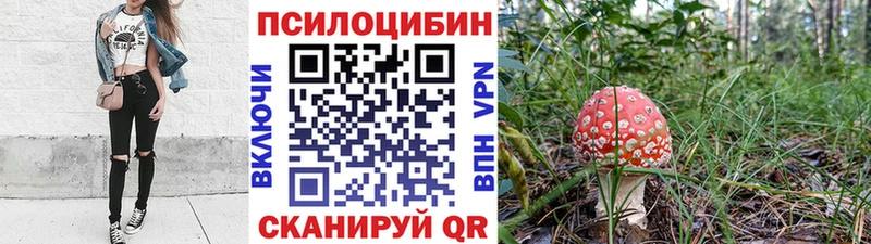 Галлюциногенные грибы ЛСД  shop как зайти  Куса 